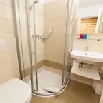 荷斯契瑙公寓式酒店 4* 费尔兹姆斯